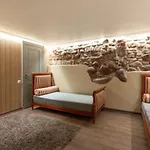 Uzupis Angel 3 Bedroom ヴィリニュス