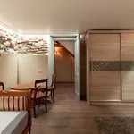 Uzupis Angel 3 Bedroom * ヴィリニュス